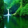 natural peace "serenity"